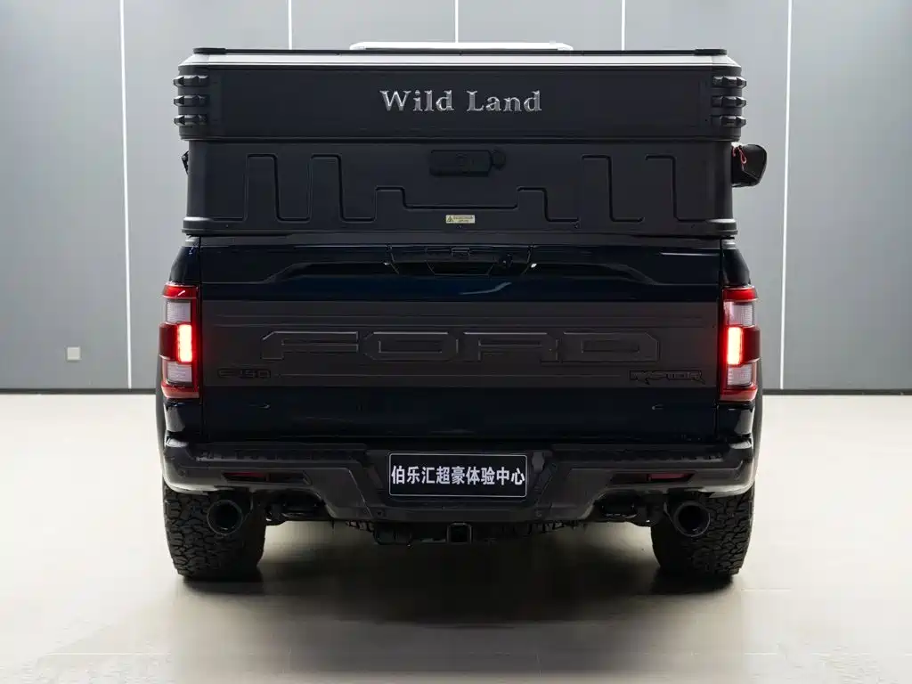 Ford F-150, миниатюра 6