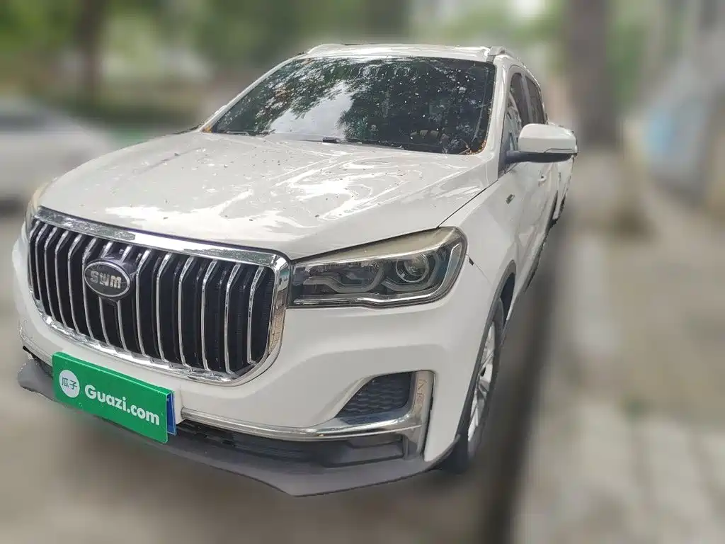 SWM Motor SWM G05 2019 2019 2.0L Manual Luxury Model