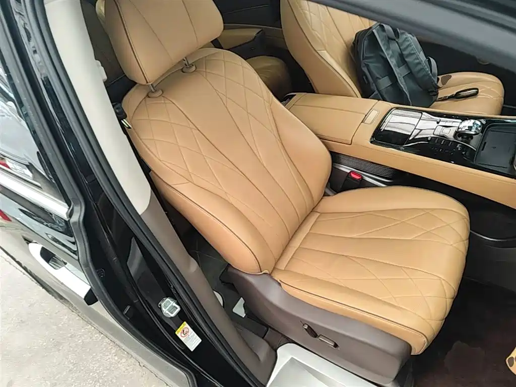 Denza D9 2022 DM-i 970 All-Wheel Drive Honor Edition фото 25