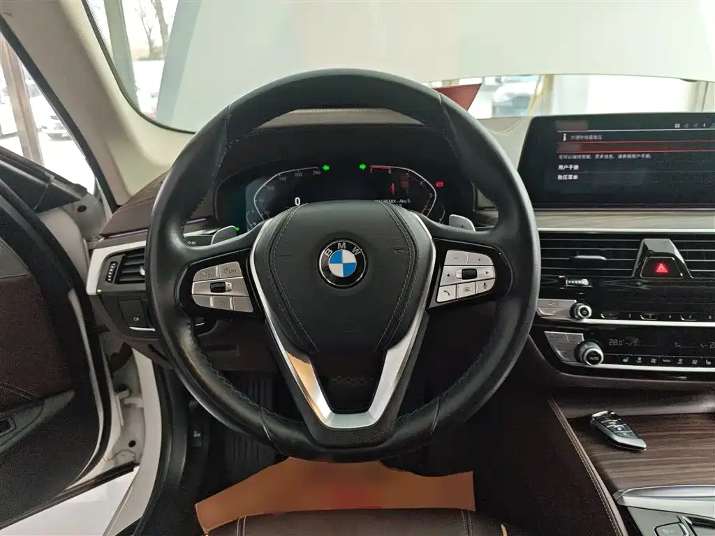 BMW 5 Series 2020 530Li Leading Luxury Package фото 3