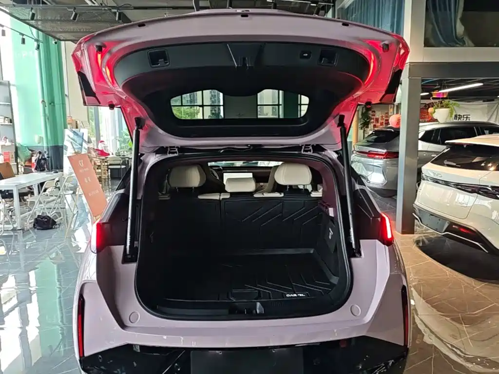 ZEEKR X 2025 2025 5-Seater RWD Edition