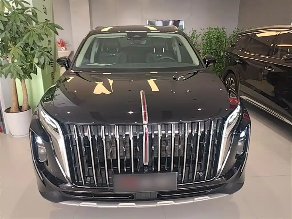 Hongqi HS7 PHEV 2024 2.0T PHEV 4WD Flagship Edition 6-seater фото 3