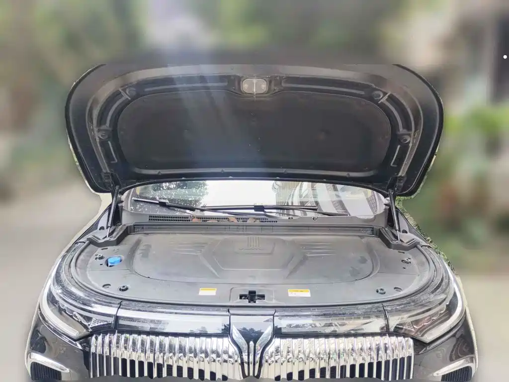 2026 Voyah Auto Voyah Dreamer
