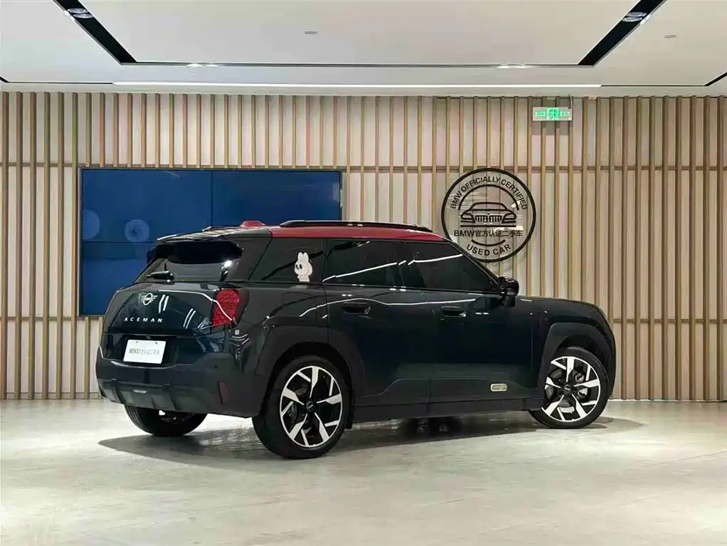 MINI ELECTRIC  ACEMAN