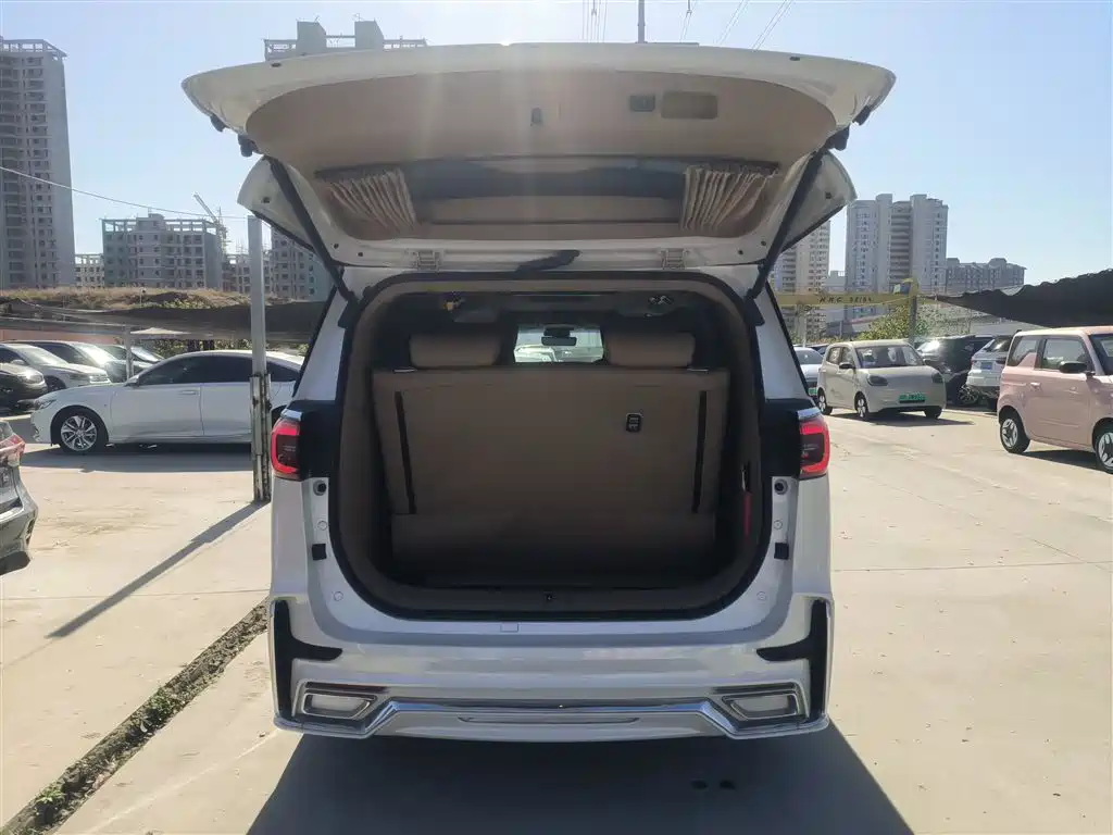 Buick GL8 2021 ES Landlord 653T Premium фото 16