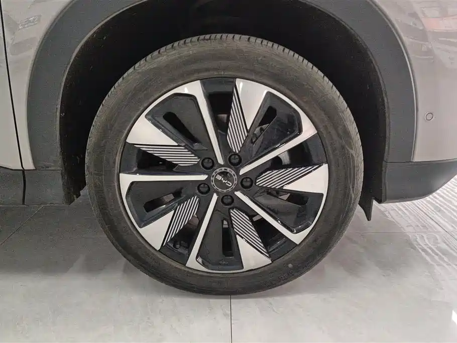 BYD SONGJIANG NEW ENERGY