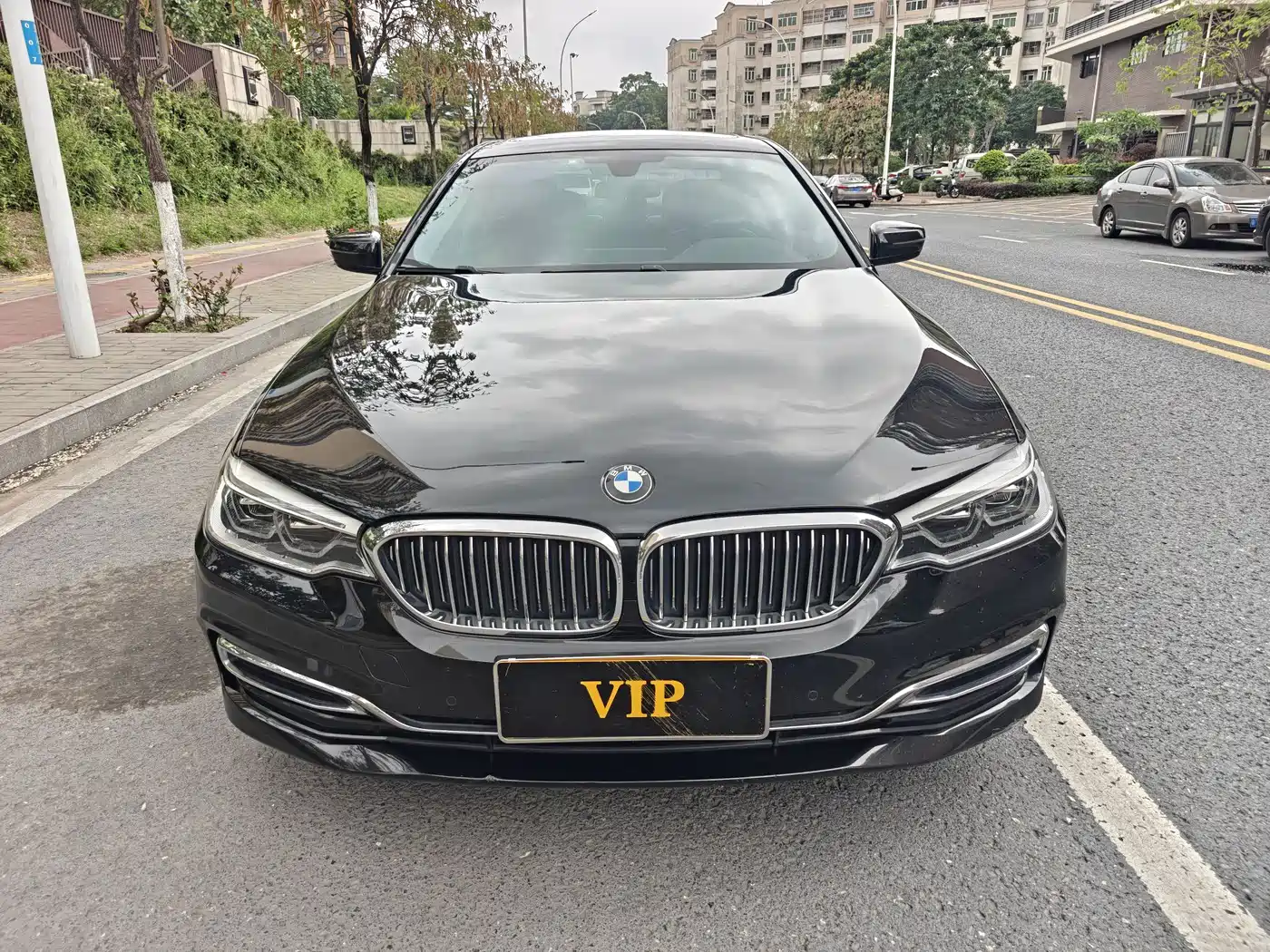 BMW 5 Series 2020 530Li Leading Luxury Package фото 2