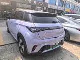 Фото 5 - BYD Dolphin