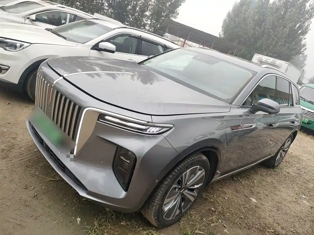 Hongqi E-HS9 2022 690km Qi Xiang Edition (6-seater) фото 21