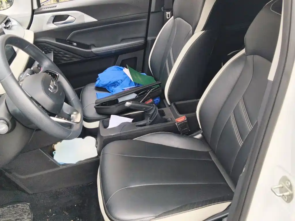 Geely Geometry E Firefly 2022 2022 320KM Well-behaved Tiger 4-seater