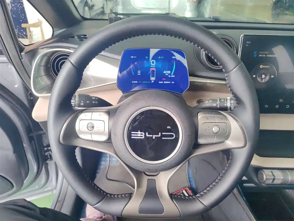BYD Dolphin 2023 420km Fashion Edition фото 11