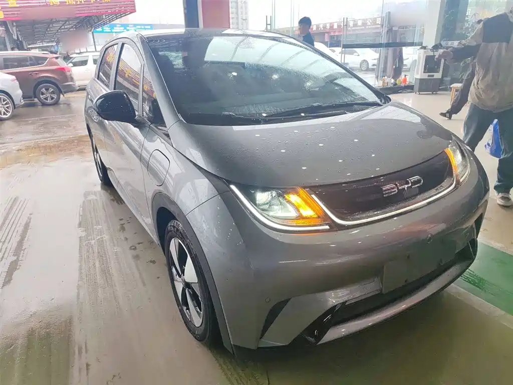 BYD Dolphin 2023 420km Fashion Edition фото 4