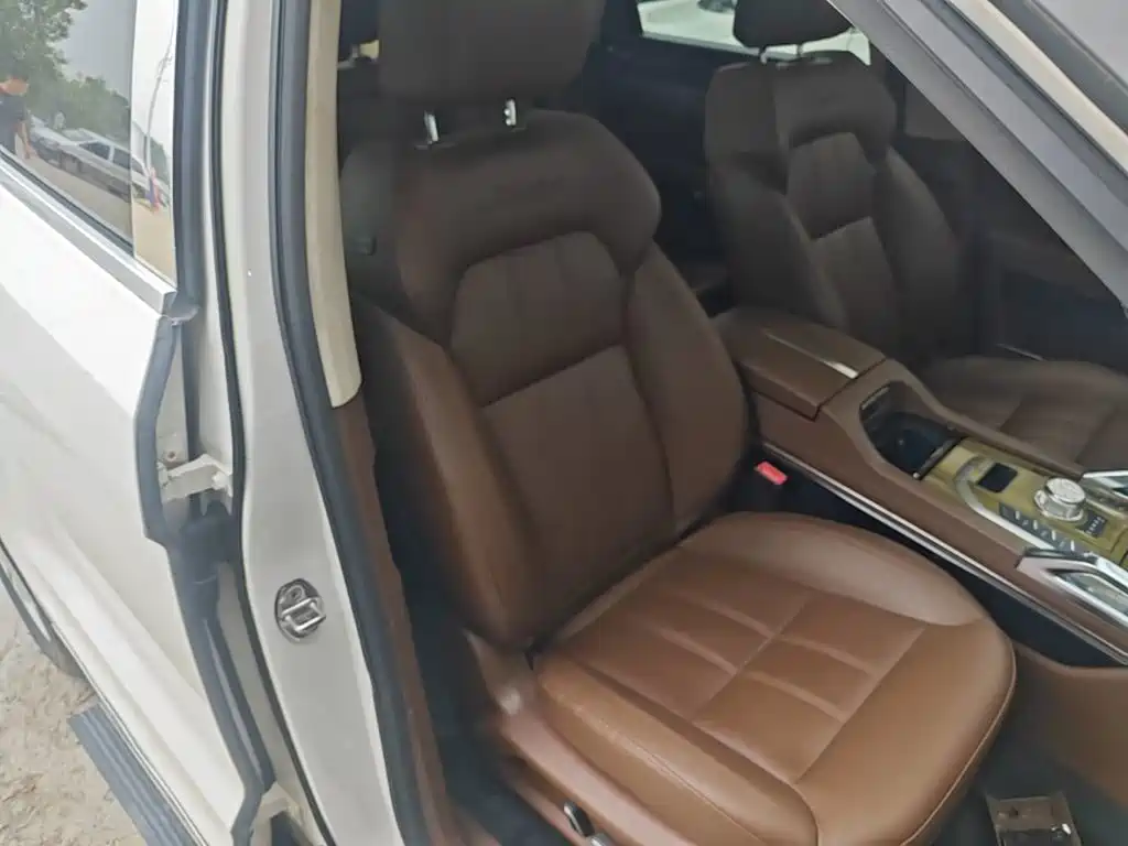 صورة 25 - Zotye T700