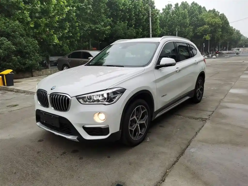 BMW X1 2018 xDrive20Li Luxury Model фото 2