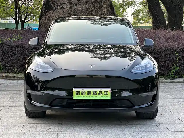 Tesla Model Y 2023 Long Range All-Wheel Drive Edition — фото 2