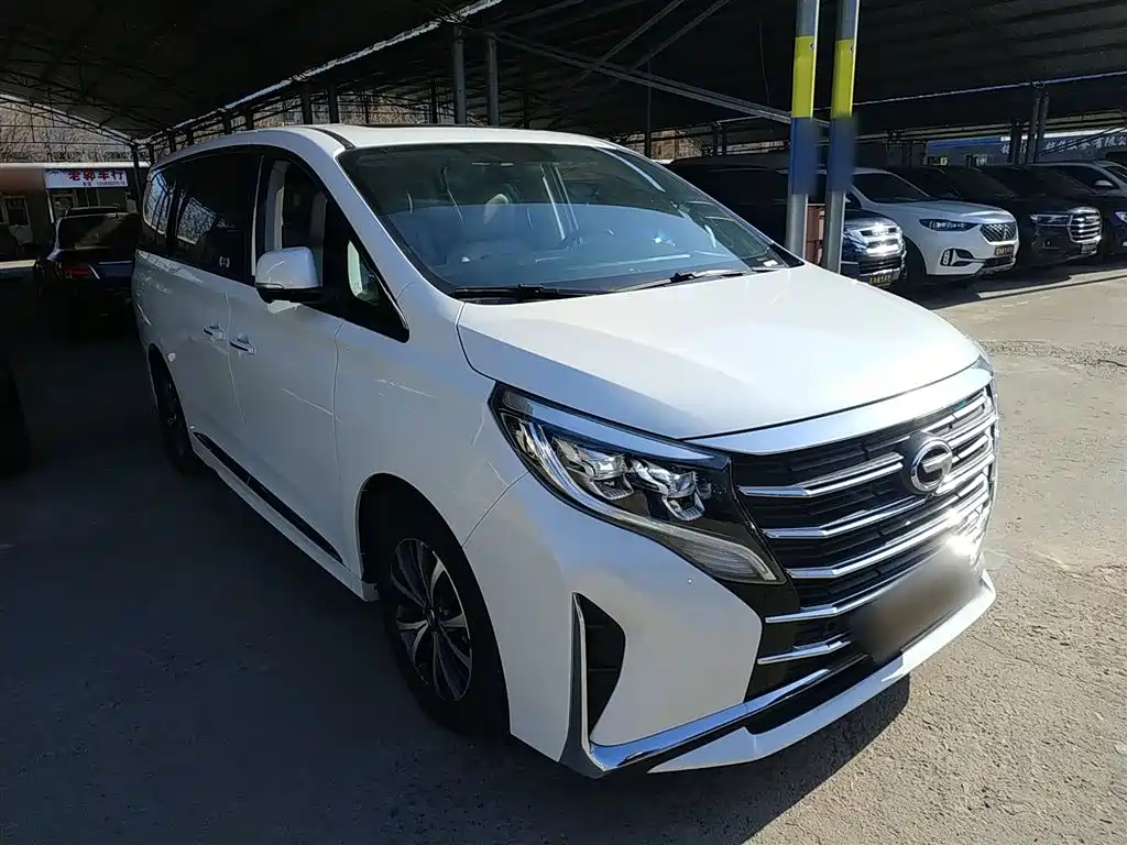 GAC Trumpchi Trumpchi M8 2021 Facelift Leading Series 390T Luxury Edition фото 20