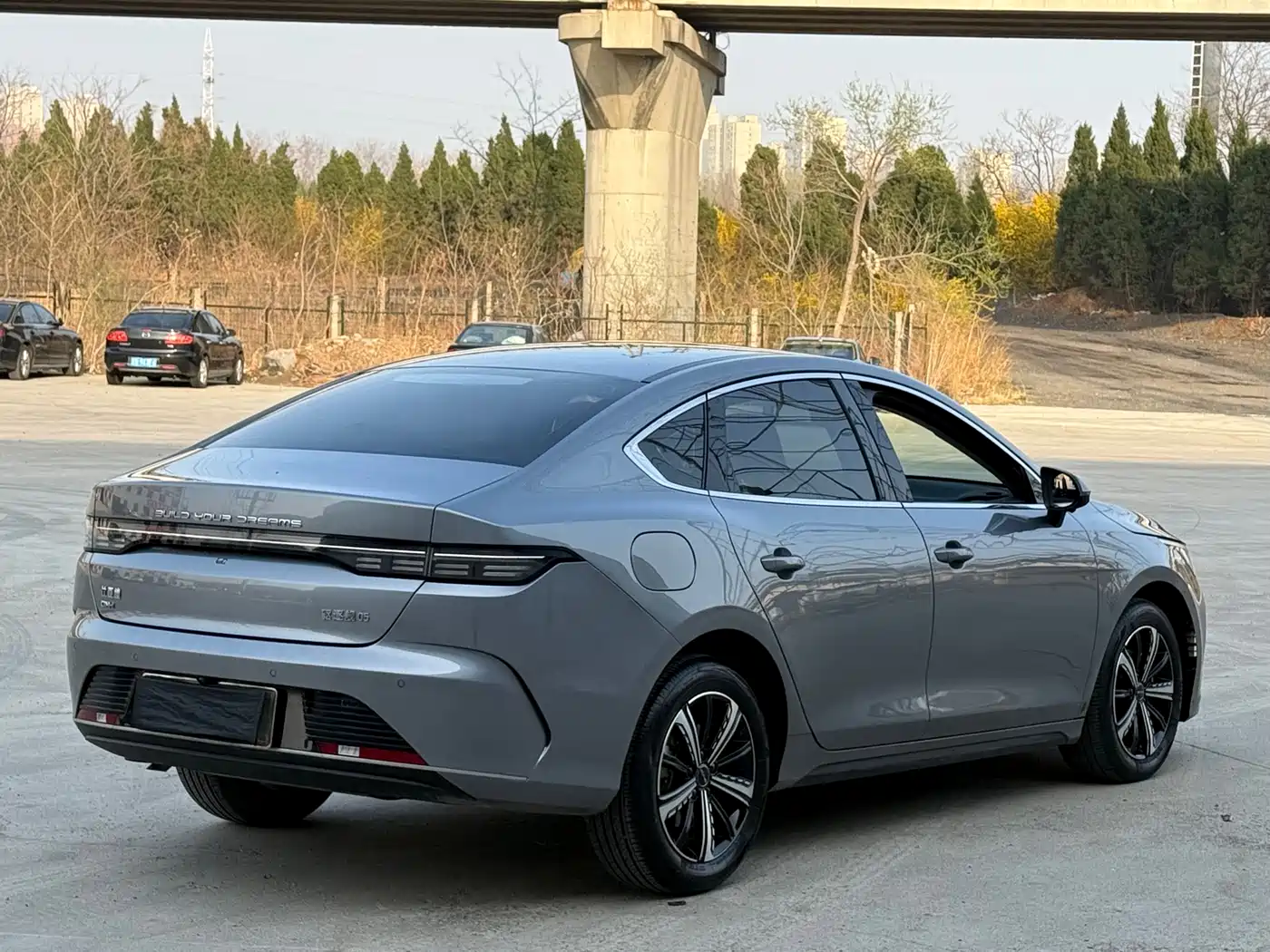 BYD Destroyer 05 2024 Glory Edition DM-i 120KM Luxury фото 5