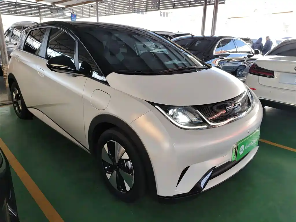 BYD Dolphin 2023 420km Fashion Edition фото 4
