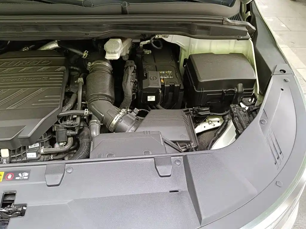 Kia Carnival 2021 2021 2.0T Luxury Premium Edition