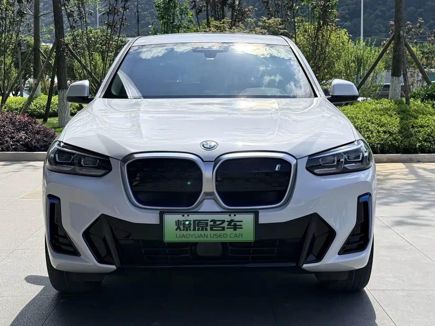BMW iX3 2022 Leading Edition фото 2