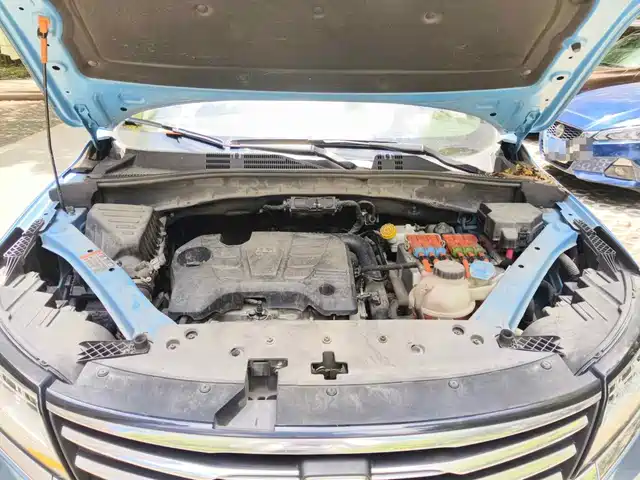 Roewe RX5 New Energy 2017 eRX5 50T Hybrid Connected Honor Flagship Edition — фото 3
