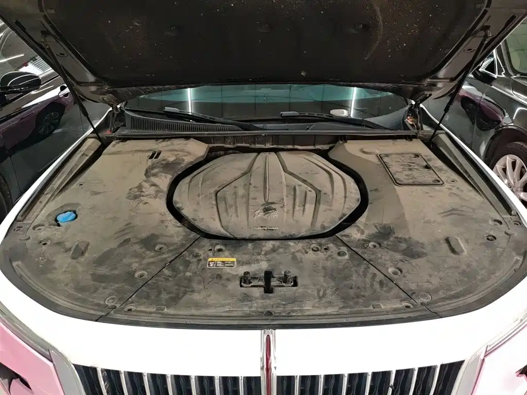 Hongqi H9 2020 2.0T Smart Connection Qi Yue Edition фото 21