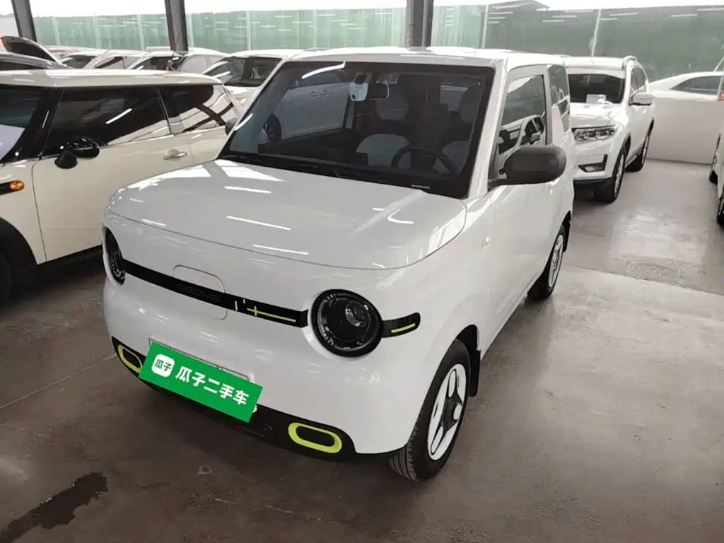 Geely Galaxy Panda 2026 2025 Panda mini 210km Vitality Bear