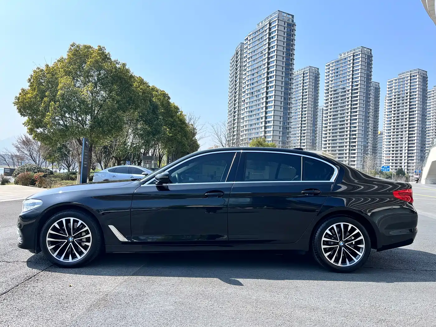 BMW 5 Series 2020 530Li Leading Luxury Package фото 16
