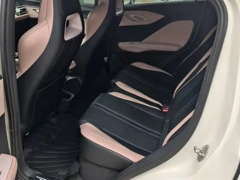 BYD Seagull 2024 Glory Edition 305km Vitality Edition фото 8