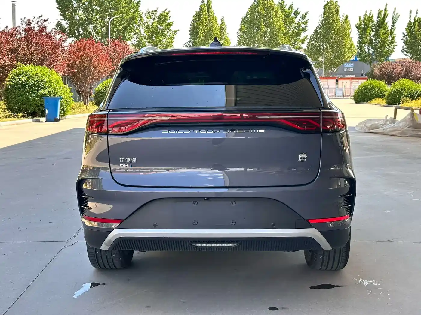 BYD Tang New Energy 2024 DM-i Honor Edition 112KM Premium фото 5