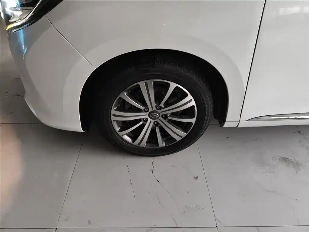 GAC Trumpchi Trumpchi M8 2018 320T Premium Edition фото 23