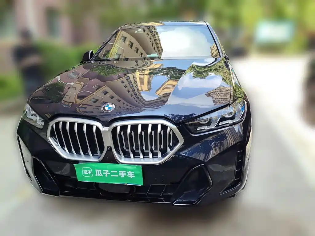 2024 BMW X6