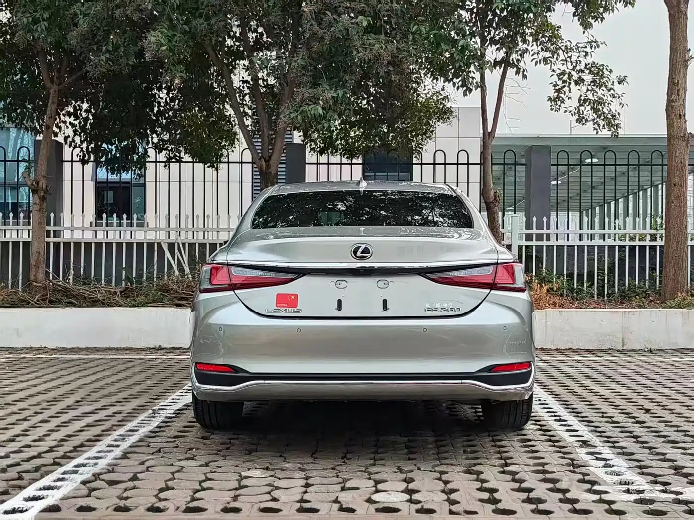 Lexus ES 2020 Model 260 Excellence Edition China V фото 19