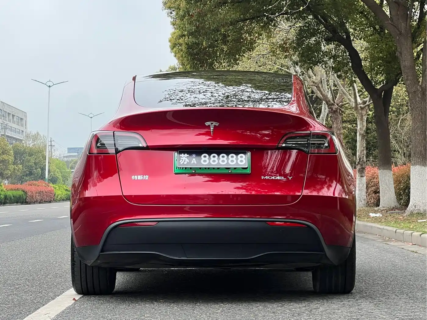 TESLA MODEL Y
