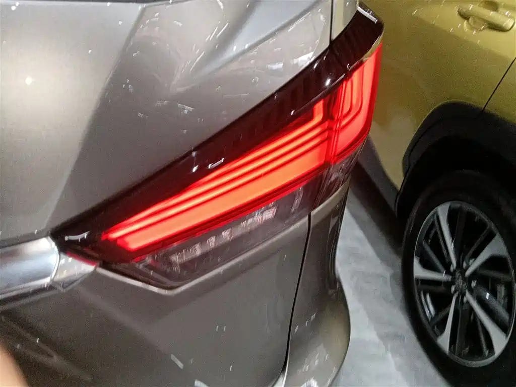 Lexus RX 2020 Facelift 300 AWD Elegance Edition фото 24