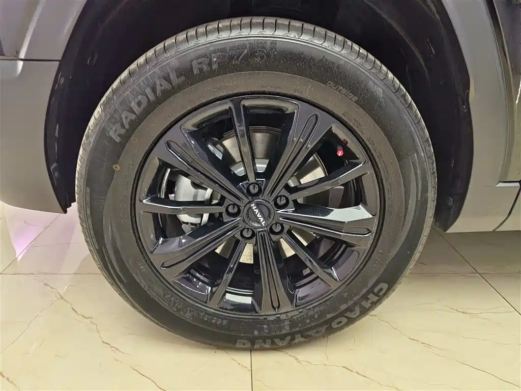 HAVAL RAPTORS NEW ENERGY