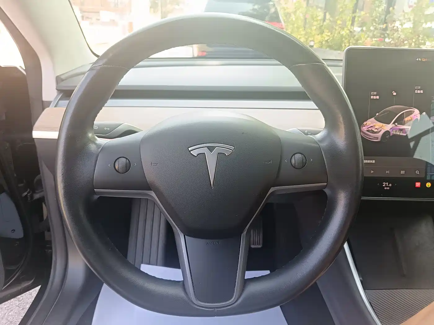 Tesla Model 3 (Import) 2019 2019 Performance High-Efficiency All-Wheel Drive Version