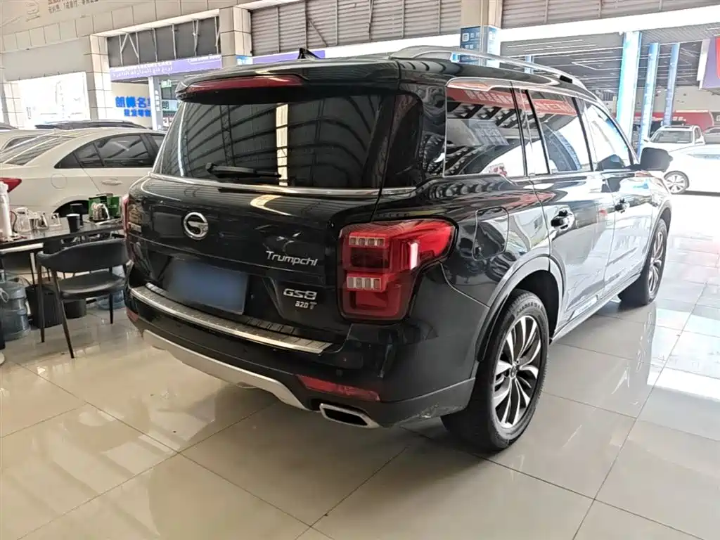GAC Trumpchi Trumpchi GS8 2017 320T 2WD Luxury Smart Connect (7-seater) фото 7