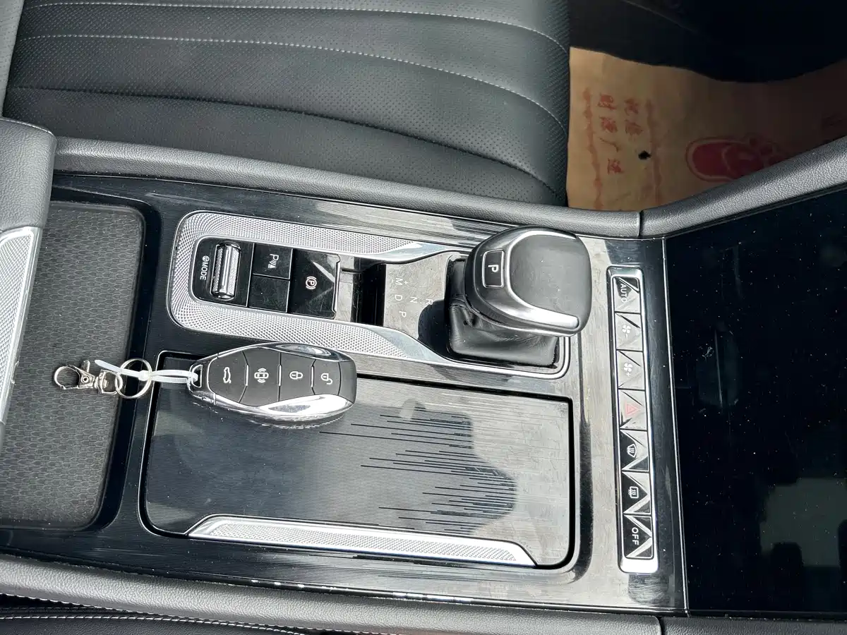 Hongqi H5 2023 2.0T Auto Smart Connect Flag Comfort фото 11