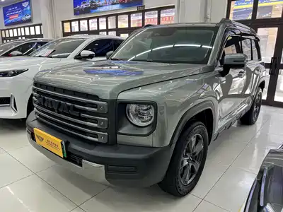 Haval Raptor
