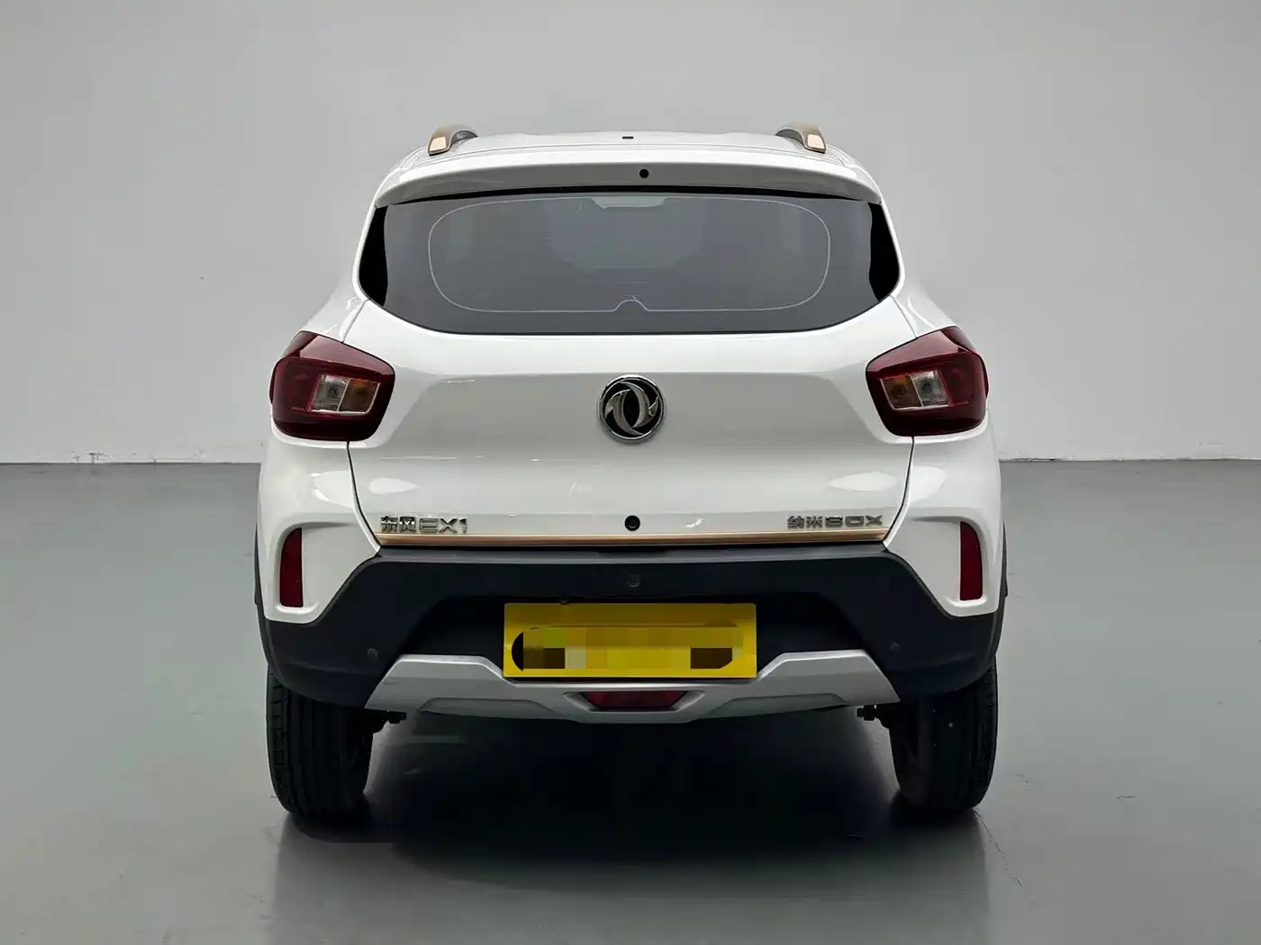 Dongfeng Yipai Nano BOX 2024 2022 Breeze Edition 201KM Lightning