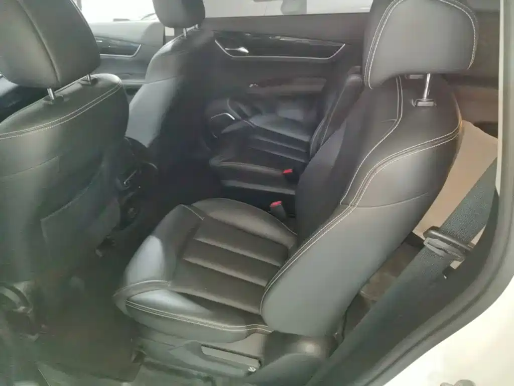 BYD Song MAX 2020 2019 1.5T Auto Smart Connected Sunroof 6-seater China VI