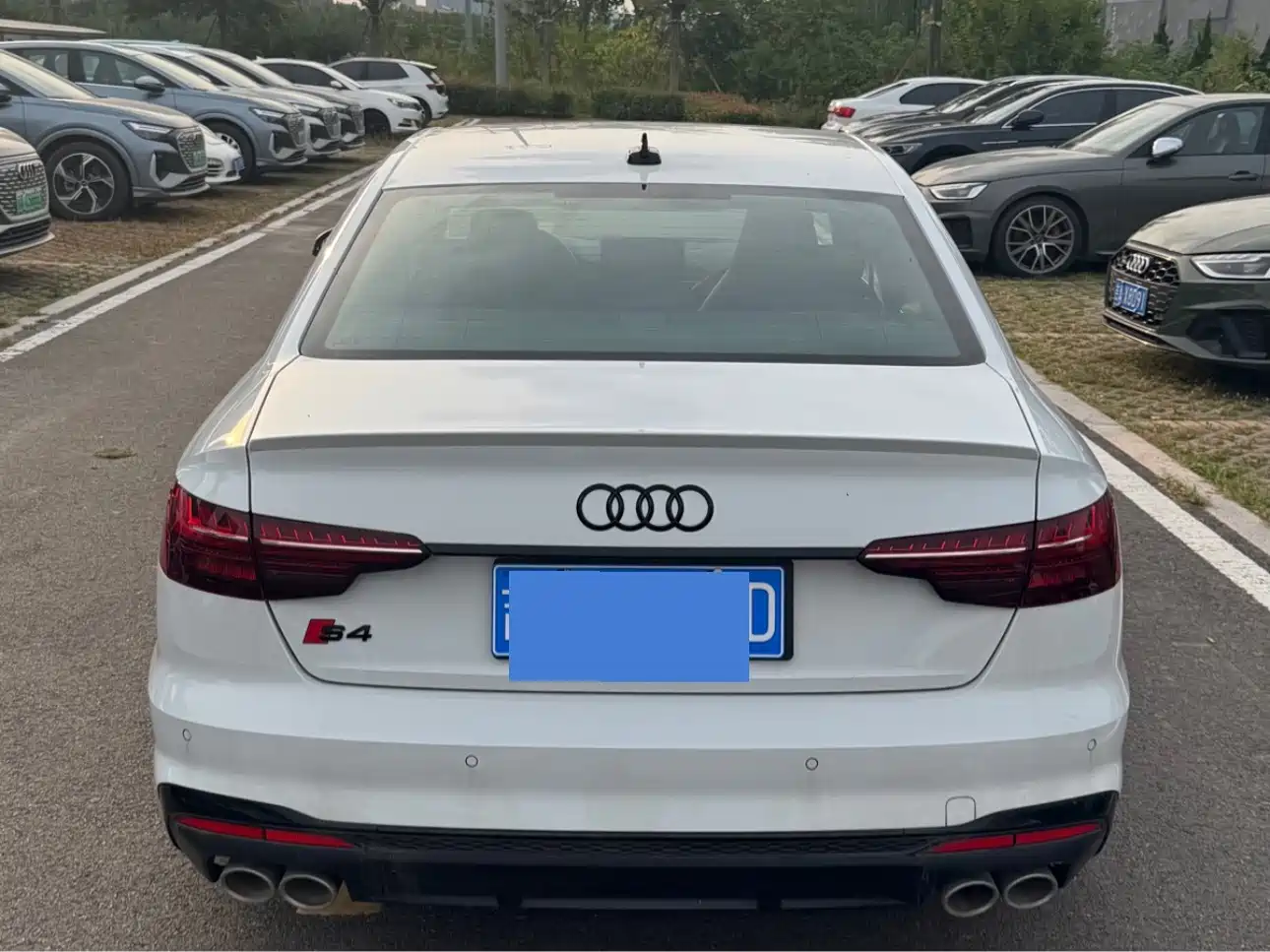 Audi S4 2024 2024 S4 3.0TFSI