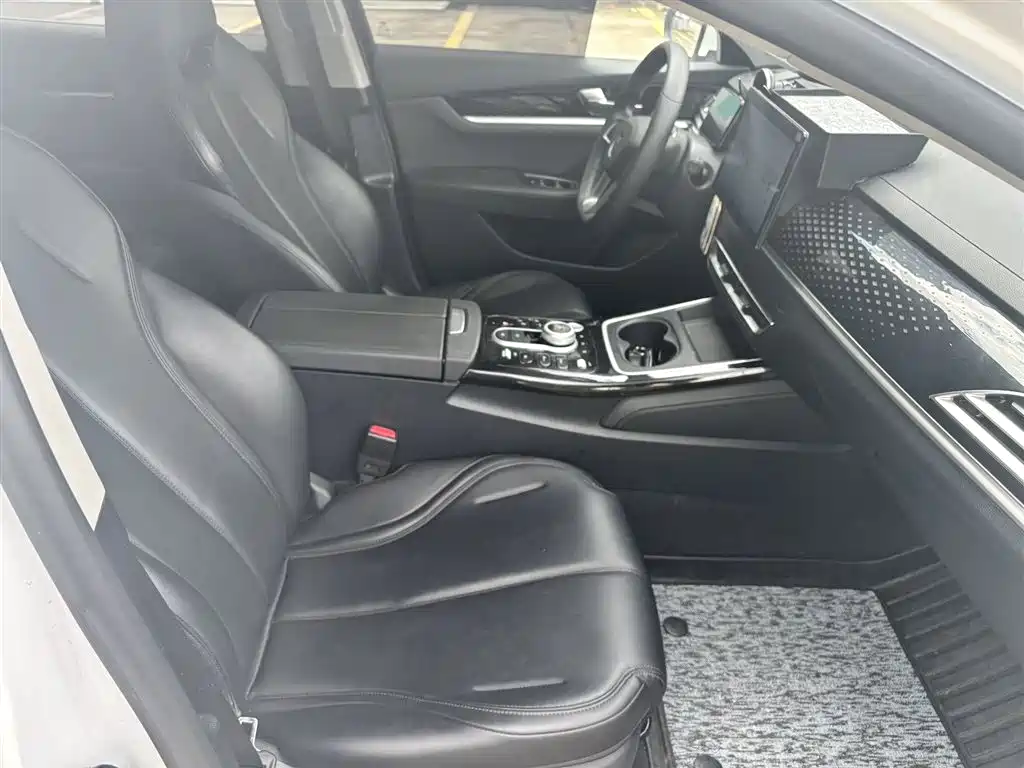 BYD Qin PLUS 2021 EV 400KM Premium Edition фото 6