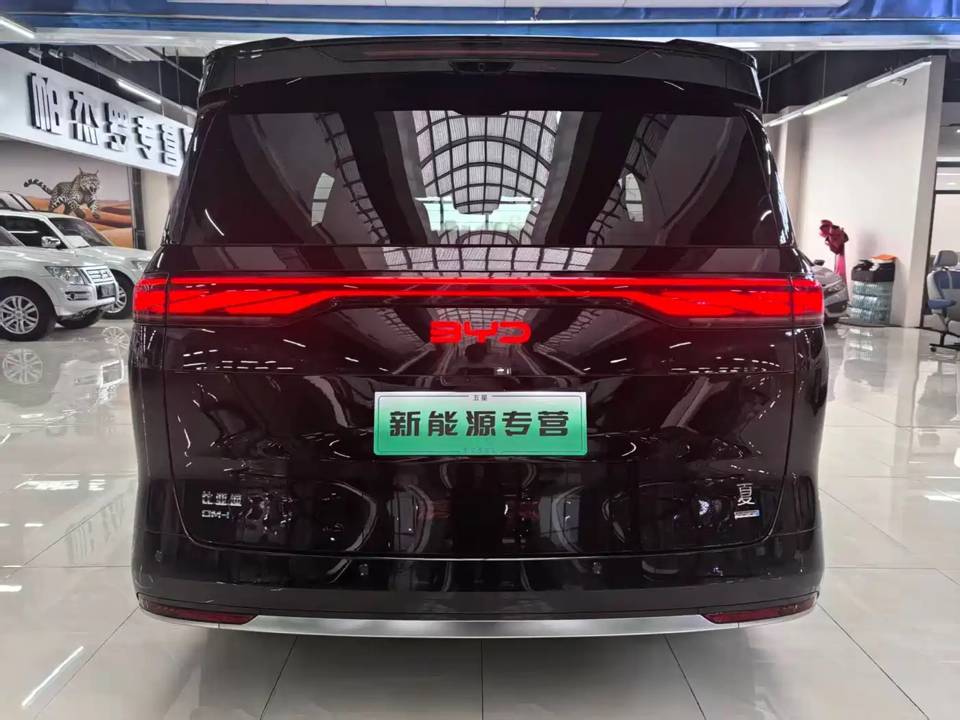 BYD Xia 2025 2025 DM-i 1.5T 180km Surpass Edition