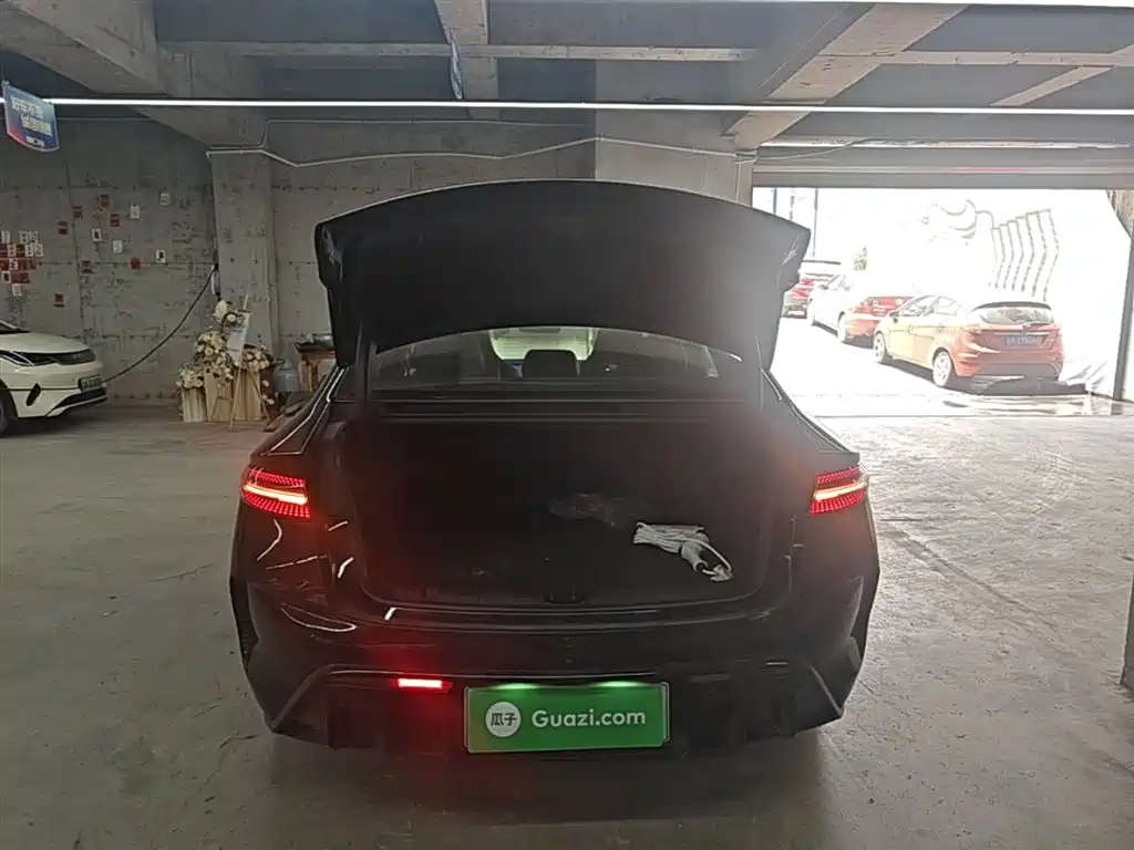 BYD Seal 2023 Champion Edition 550km Elite фото 19