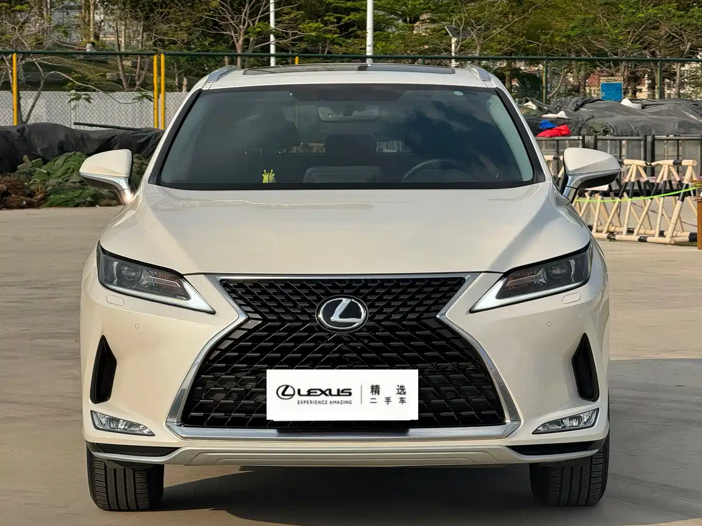 Lexus RX 2020 Facelift 300 2WD Elite Edition фото 2