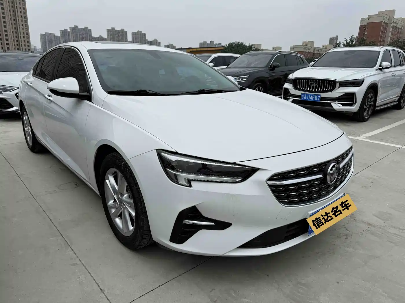 Buick Regal 2020 552T Elite фото 3