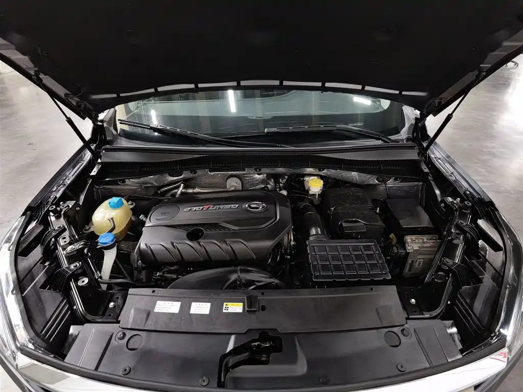 GAC Trumpchi Trumpchi GS5 2019 270T Automatic Luxury фото 6