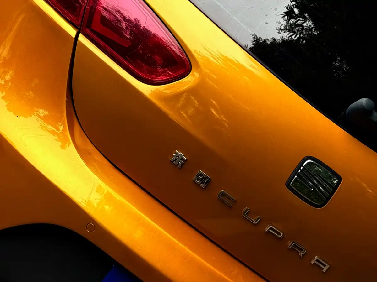 SEAT LEON 2012 2.0TSI CUPRA фото 7